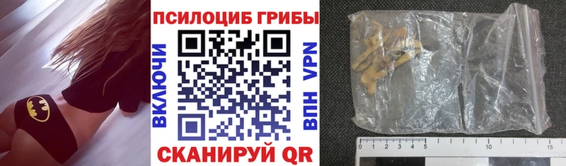 купить   Богучар  Псилоцибиновые грибы прущие грибы 